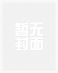 我本邊軍一小卒